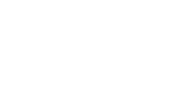 Premier Air Charters