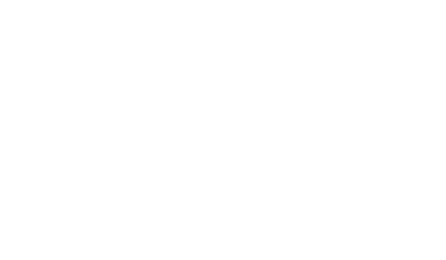 Premier Air Charters